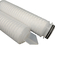 Polyester geplooid filtersysteem voor Ro-waterbehandeling met 68,5 mm OD