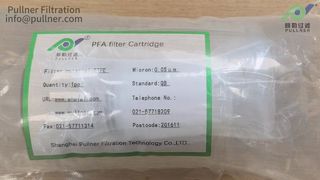 PFA 0,0,5um 10 inch