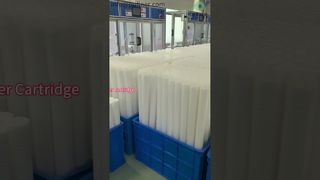 Fabrieksgids: Hoe Power 70'' plantenfiltercartridges worden vervaardigd