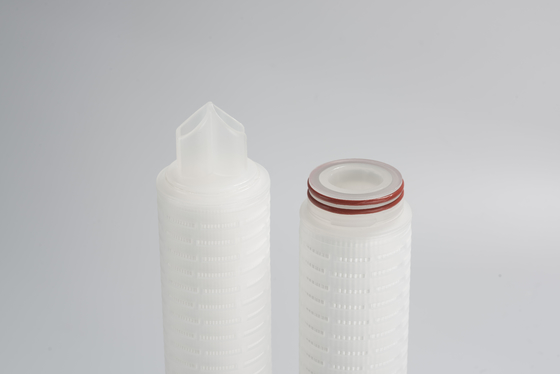 Dubbele 0,22 micron PES-membraanfilterpatroon voor filtratie in de voedings- en drankenindustrie