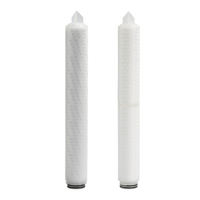 10 inch lengte polypropyleen materiaal PP pleatfilter met eindkappen