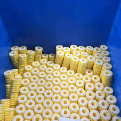 N/S-serie Multi-Volume Small Flow Capsule Filter met NPT Swagelock Port en aanpasbare inwendige cartridge