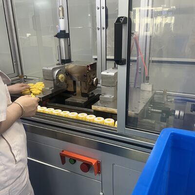 N/S-serie Multi-Volume Small Flow Capsule Filter met NPT Swagelock Port en aanpasbare inwendige cartridge