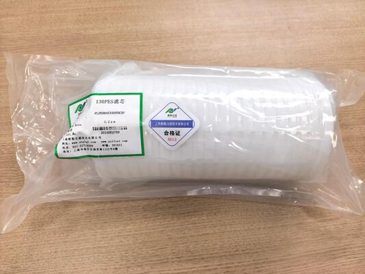 130-serie High Flow Filter Cartridge met 2,2 m2 Filtratieoppervlak en 200 L/min Stroomcapaciteit voor natte filtering