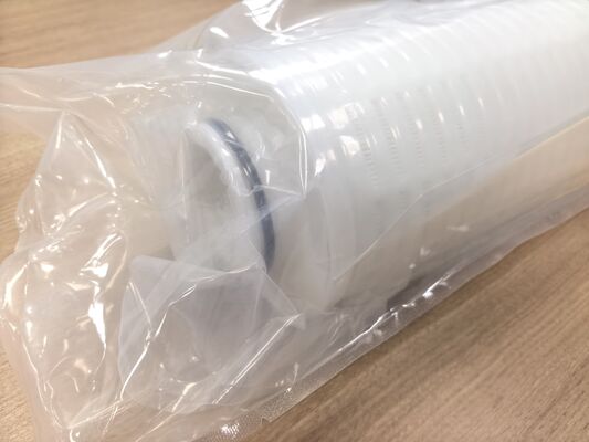 130-serie High Flow Filter Cartridge met 2,2 m2 Filtratieoppervlak en 200 L/min Stroomcapaciteit voor natte filtering