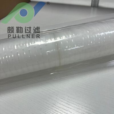 20' High Flow PES Membrane Filter Cartridge met 0,05um Retention Rating voor Microelectronics Filtratie